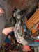 DSCF0081